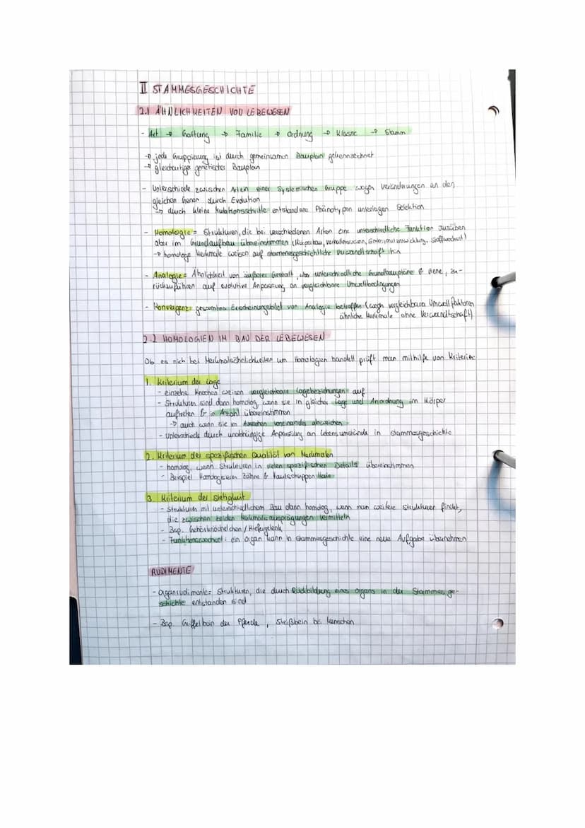 BIO LK EVOLUTION
Zusammenfassung
@karolinamechab & O
Willkommen zu meiner Bio Evolution Zusammenfassung!!
Bevor du sie dir durchliest möchte