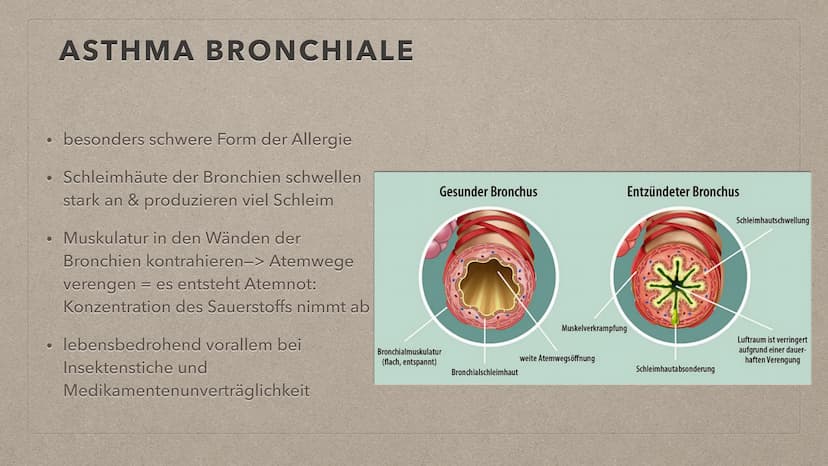 ALLERGIEN THEMENÜBERSICHT
●
• Reaktion bei Kontakt mit einem Auslöser
Symptome
Feststellung
●
●
●
Definition + Auftreten
●
Behandlungsmethod