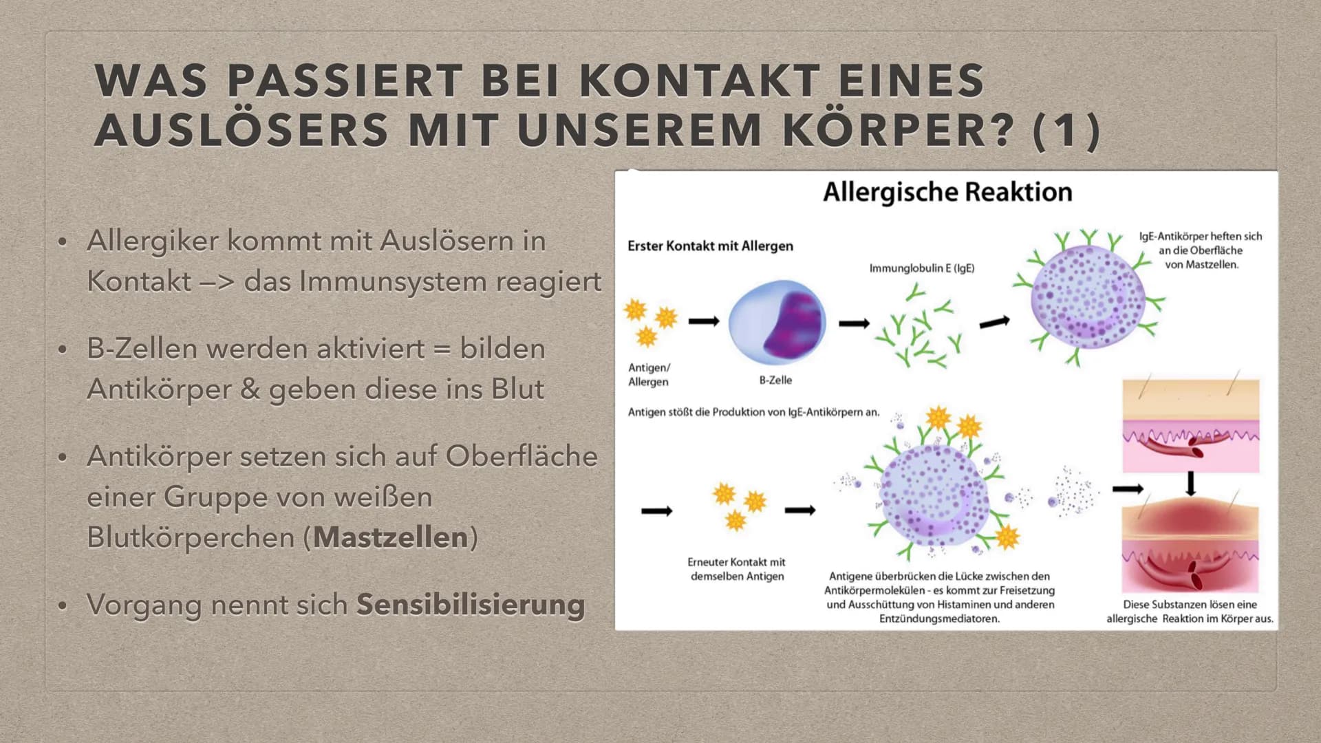 ALLERGIEN THEMENÜBERSICHT
●
• Reaktion bei Kontakt mit einem Auslöser
Symptome
Feststellung
●
●
●
Definition + Auftreten
●
Behandlungsmethod