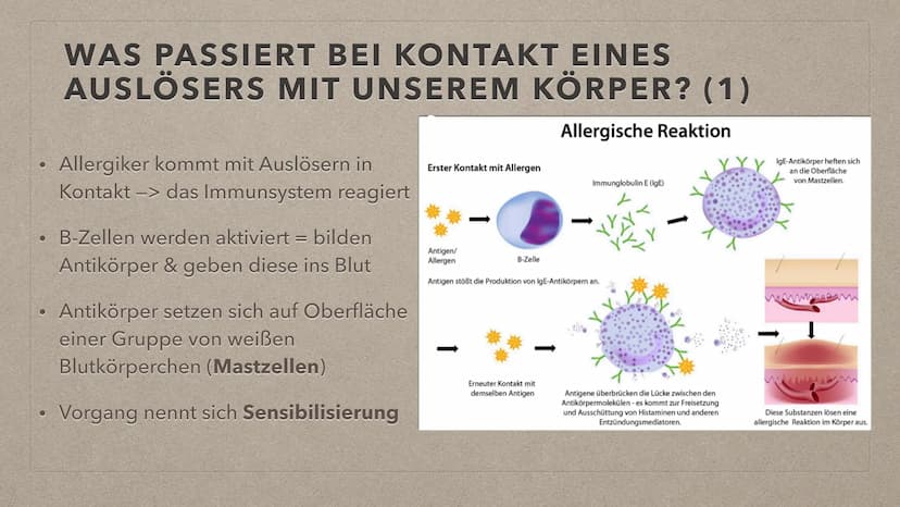 ALLERGIEN THEMENÜBERSICHT
●
• Reaktion bei Kontakt mit einem Auslöser
Symptome
Feststellung
●
●
●
Definition + Auftreten
●
Behandlungsmethod