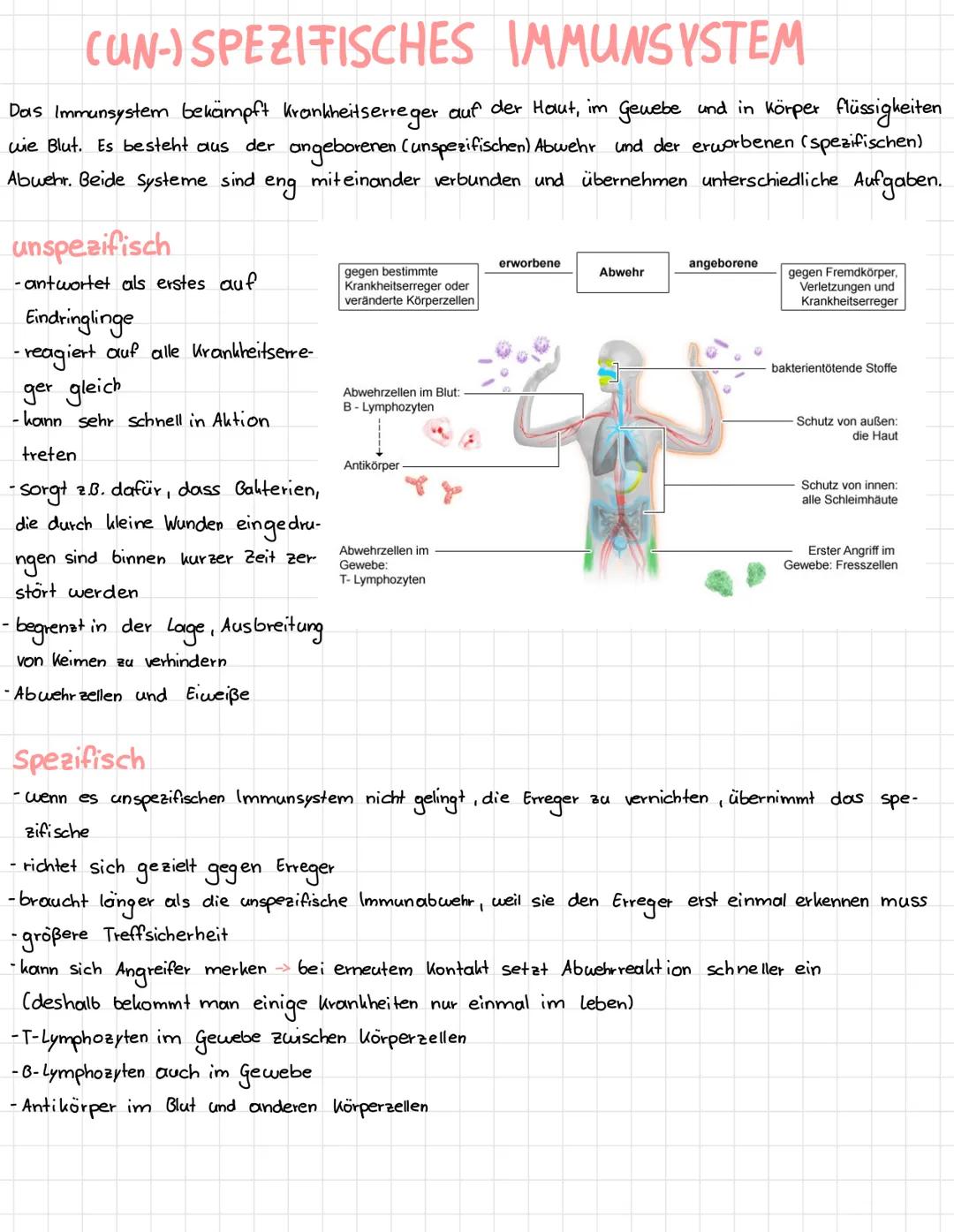 CUN-) SPEZIFISCHES IMMUNSYSTEM
Das Immunsystem bekämpft Krankheitserreger auf der Haut, im Gewebe und in Körper flüssigkeiten
wie Blut. Es b