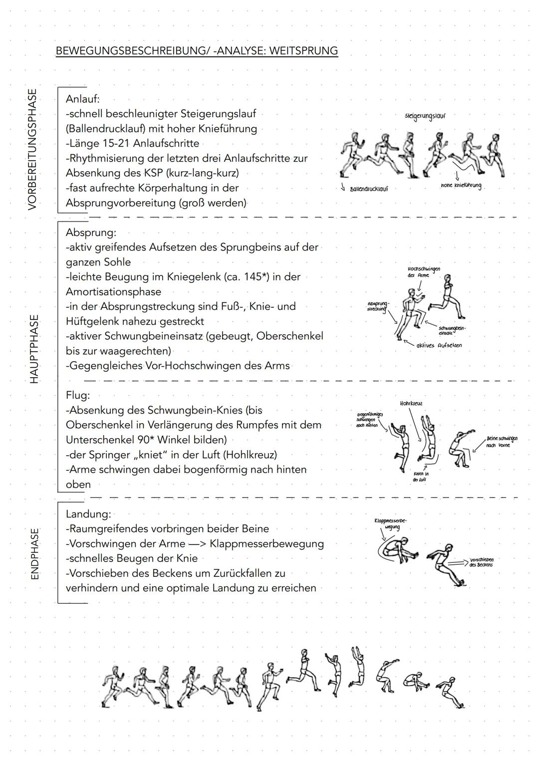 # Motorische Lernstufen nach MEINEL/SCHNABEL

Unter Lernen versteht man eine überdauernde Verhaltensänderung, die durch einen
Lernprozess en