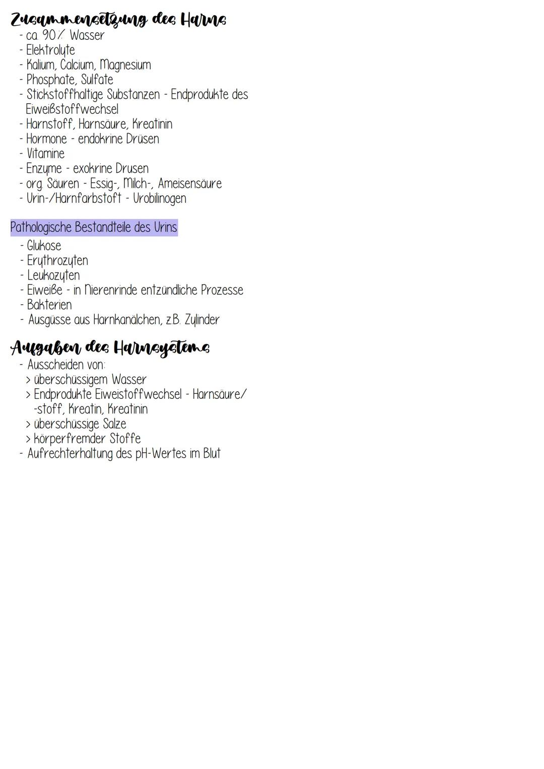 elle
Urogenital system
CHO
niere (Ren)
> Harnleiter (Ureter)
> Harnblase (Vesica urinaria)
> Harnröhre (Urethra)
niere
paarig angelegt
- boh