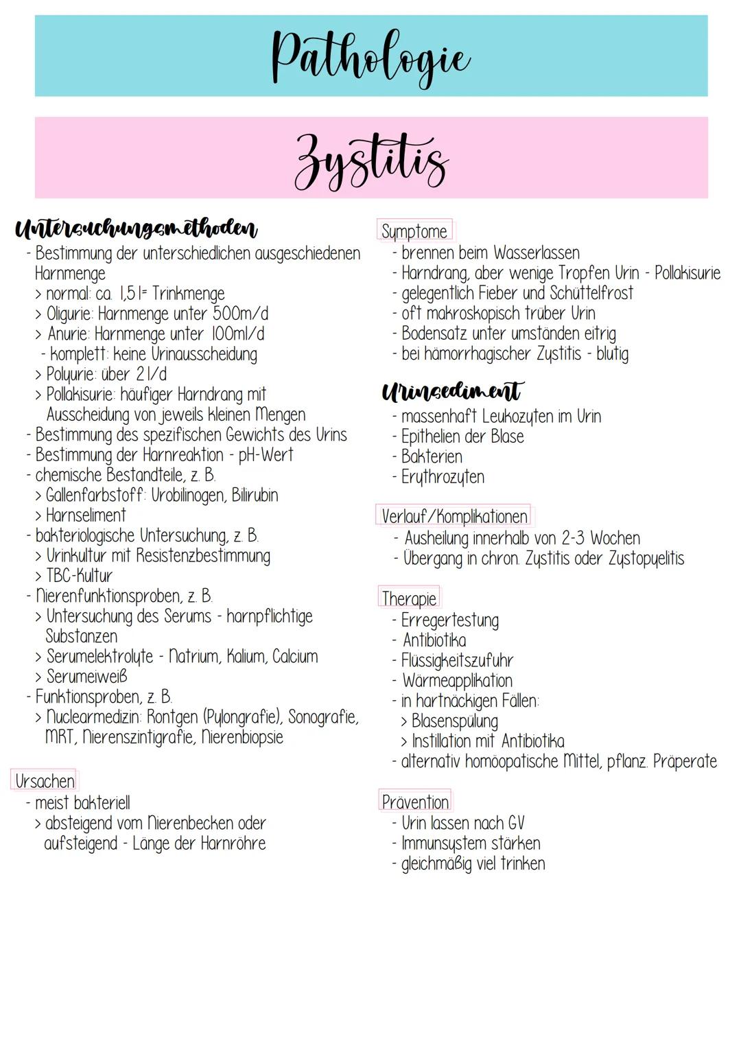 elle
Urogenital system
CHO
niere (Ren)
> Harnleiter (Ureter)
> Harnblase (Vesica urinaria)
> Harnröhre (Urethra)
niere
paarig angelegt
- boh