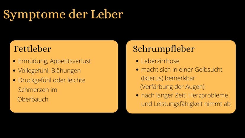 Mukoviszidose Gliederung
• Was ist Mukoviszidose?
Symptome
genetische Ursachen
Zusammenhang
› Vererbungsmuster
Häufigkeit
• Leben mit Mukovi