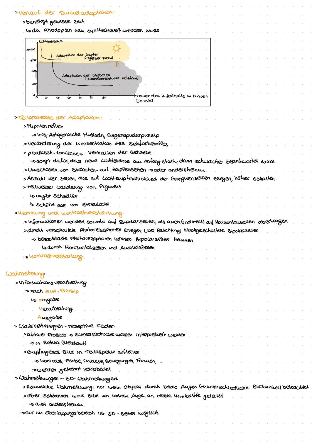 Neuro
GE
ne Exkurs: Nervensystem.
peripheres Nervensystem
Lo sensorische Nerven (affarent)
to motorische Nerven (efferent)
somatisches.
Nerv