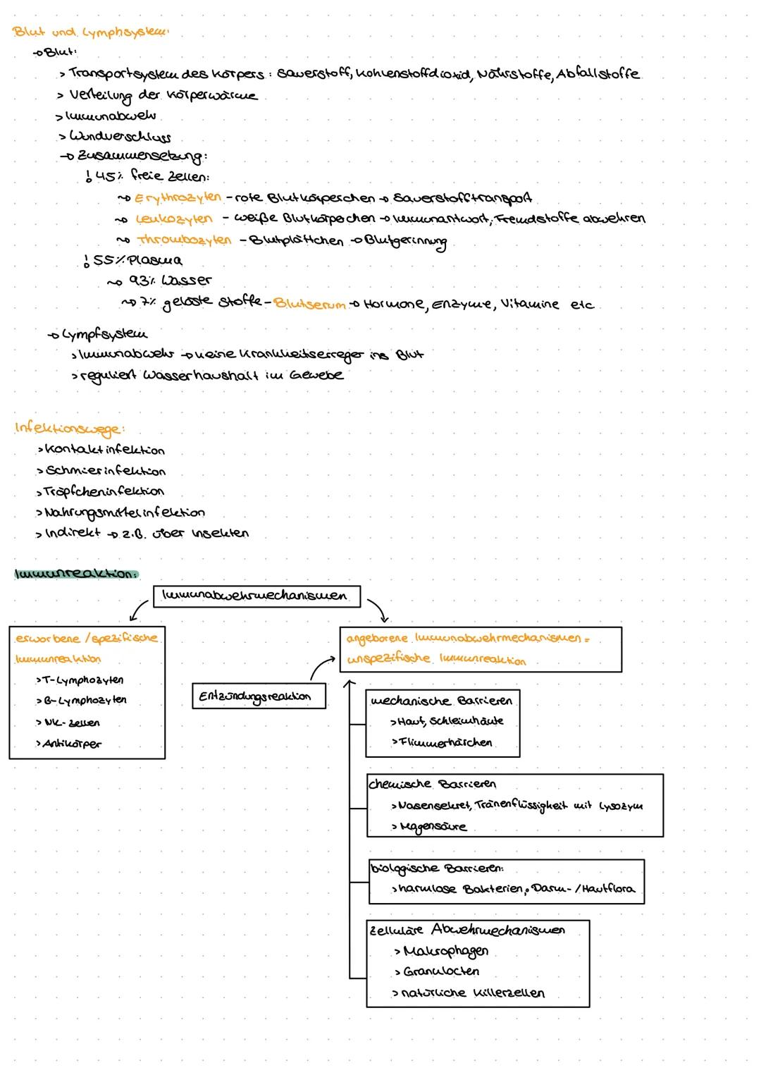 Neuro
GE
ne Exkurs: Nervensystem.
peripheres Nervensystem
Lo sensorische Nerven (affarent)
to motorische Nerven (efferent)
somatisches.
Nerv