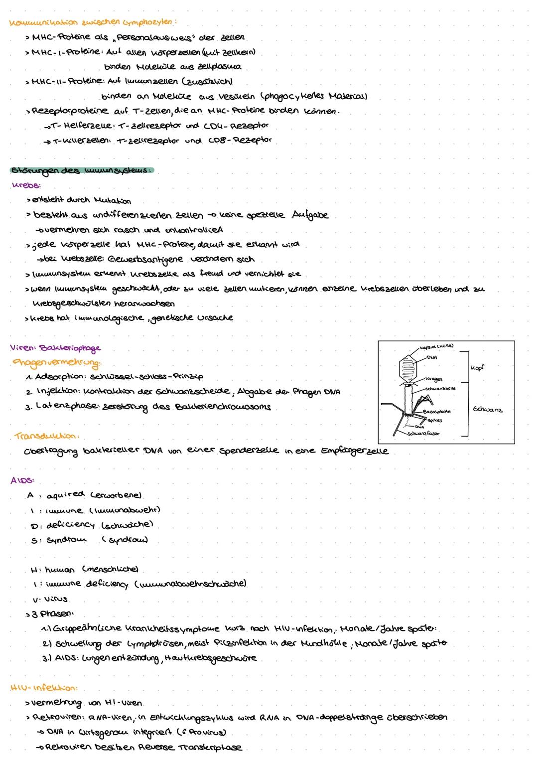 Neuro
GE
ne Exkurs: Nervensystem.
peripheres Nervensystem
Lo sensorische Nerven (affarent)
to motorische Nerven (efferent)
somatisches.
Nerv