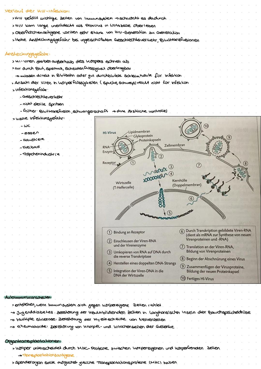 Neuro
GE
ne Exkurs: Nervensystem.
peripheres Nervensystem
Lo sensorische Nerven (affarent)
to motorische Nerven (efferent)
somatisches.
Nerv