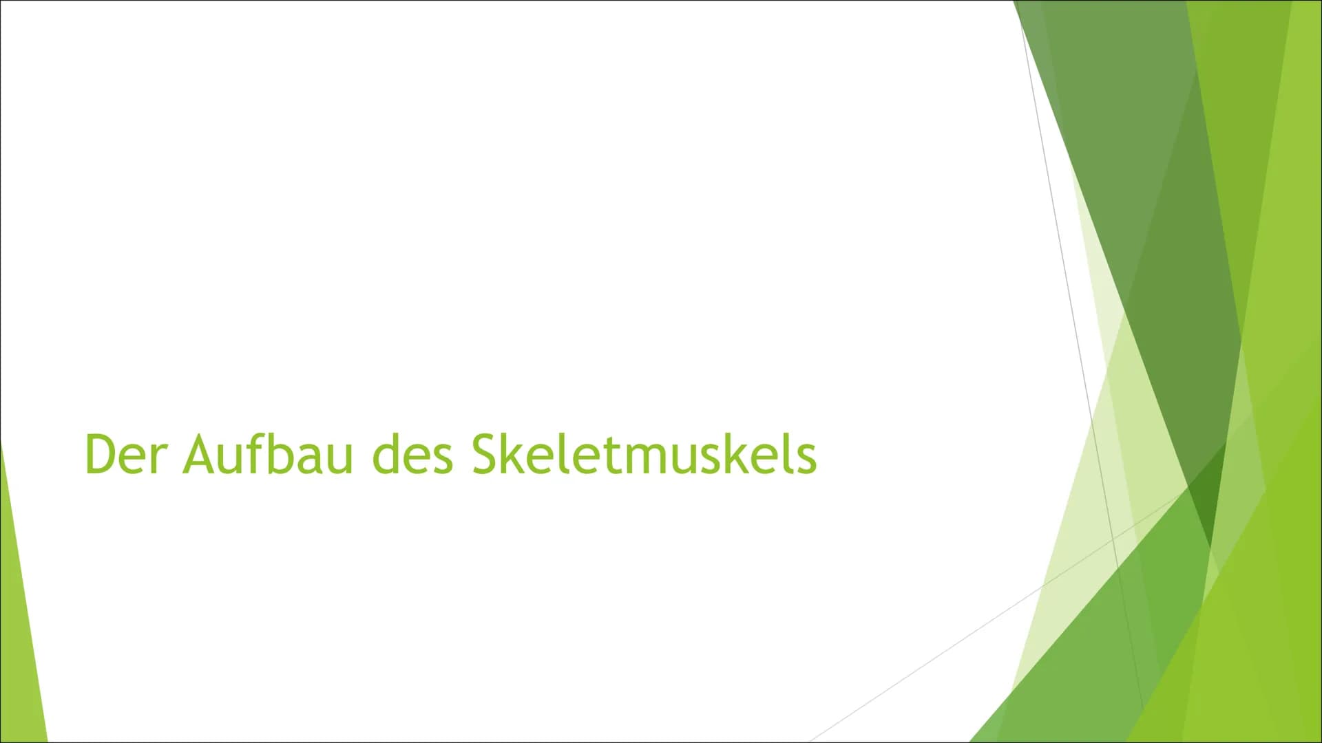 Muskelkontraktion
Von Mia Selling Der Aufbau des Skeletmuskels Der Aufbau des Skeletmuskels
Muskeln in Muskelfaserbündel
gegliedert
Musekelf