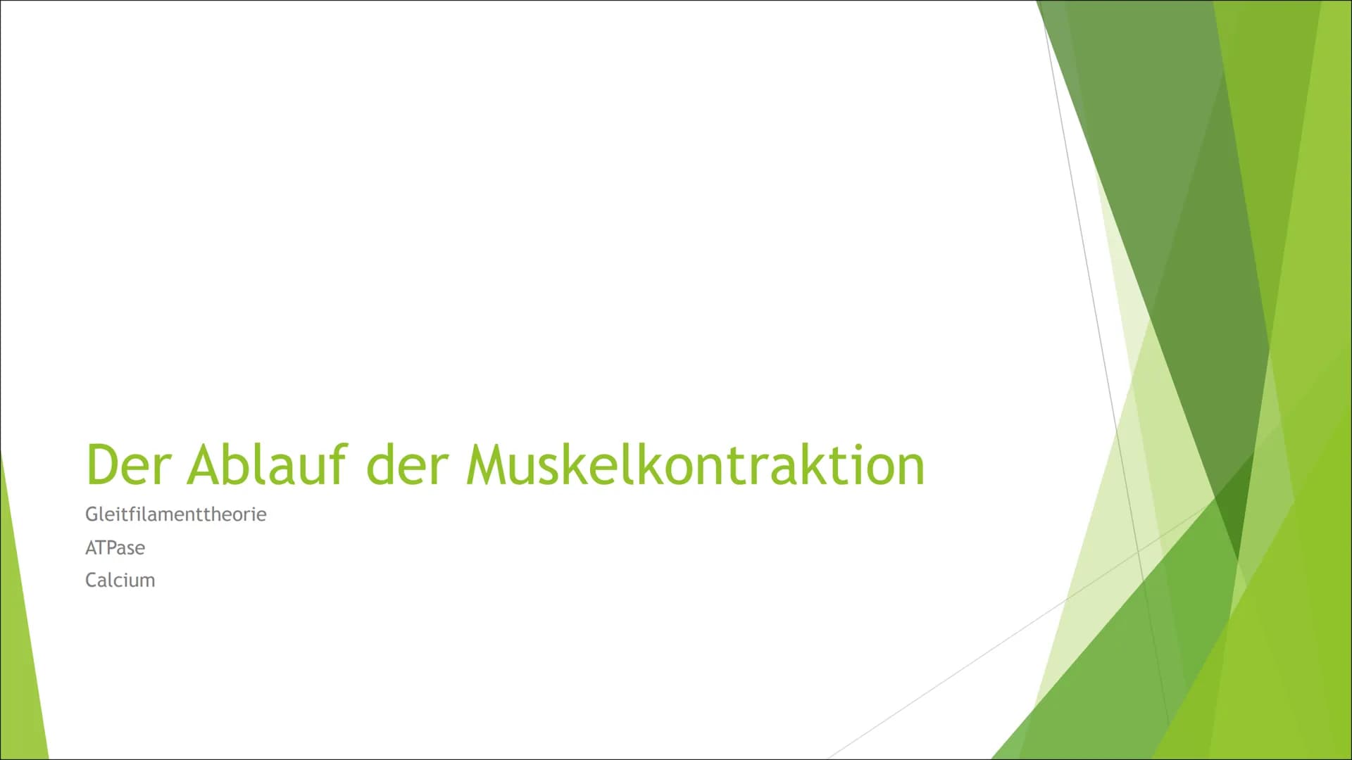 Muskelkontraktion
Von Mia Selling Der Aufbau des Skeletmuskels Der Aufbau des Skeletmuskels
Muskeln in Muskelfaserbündel
gegliedert
Musekelf