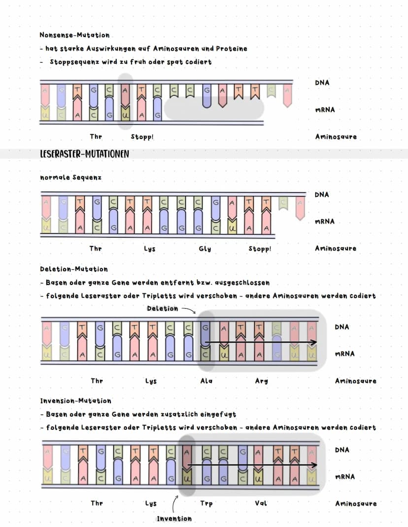 Genmutationen
Der Fehler liegt auf der Ebene des Gens, das heisst Basen sind betroffen durch Basenaustausch,
entfernung oder -hinnzufugen, w