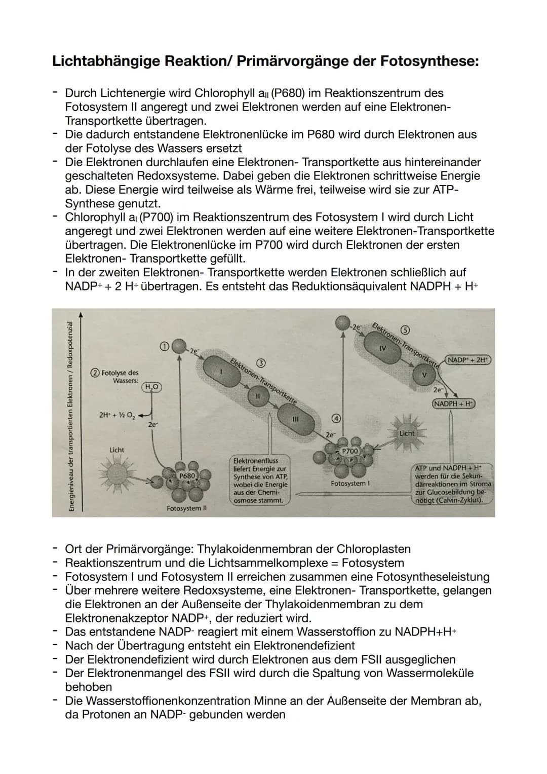 Die Dünnschichtchromatographie:
-
-
-
Chromatographie: physikalisches Trennverfahren, bei dem die Stofftrennung
auf der unterschiedlichen Ve
