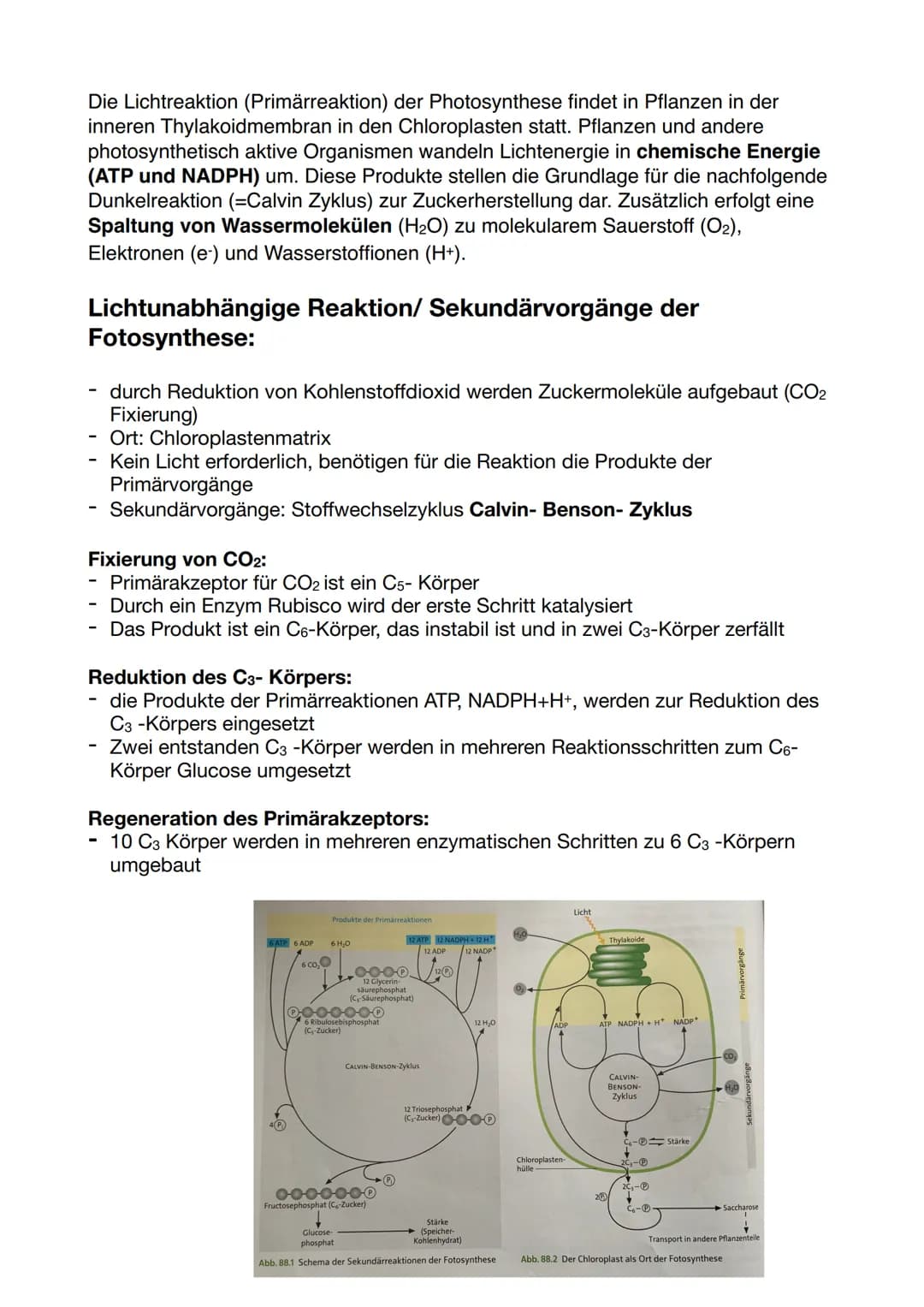 Die Dünnschichtchromatographie:
-
-
-
Chromatographie: physikalisches Trennverfahren, bei dem die Stofftrennung
auf der unterschiedlichen Ve