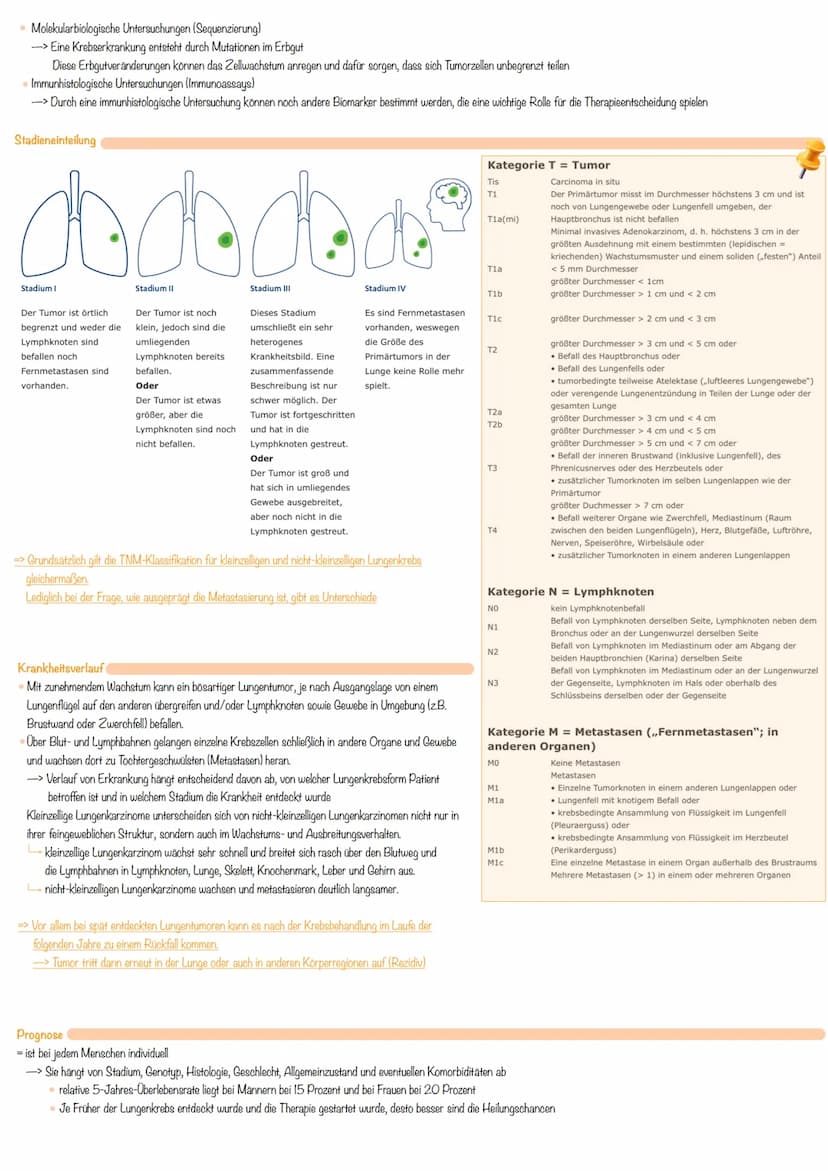Definition von Bronchialkarzinom
= bösartige Geschwülste, die aus dem Lungengewebe selbst entstehen
-> in den meisten Fällen aus Zellen der 