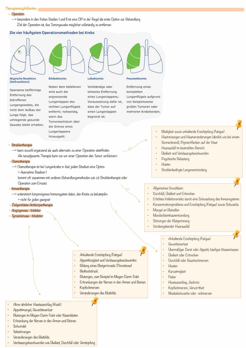 Definition von Bronchialkarzinom
= bösartige Geschwülste, die aus dem Lungengewebe selbst entstehen
-> in den meisten Fällen aus Zellen der 