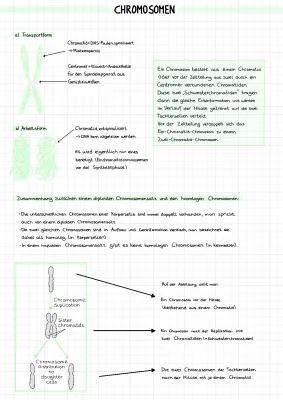 Know Chromosomen thumbnail