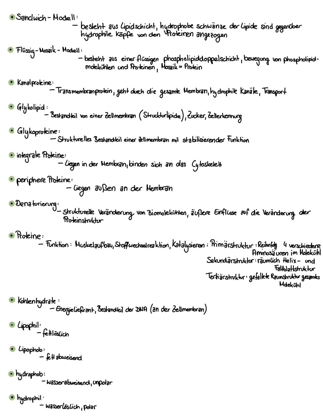 Strucktur
Zellwand
Zellker
Cytoplasma
Vakuole
Chloroplasten
Zellmembran
Mitochondrien
•Bakterium:
• Endocytose
Ribosom:
aerob
BIOLOGIE
Pflan