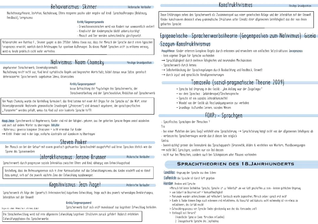 Abitur 22 Spracherwerb, Theorien