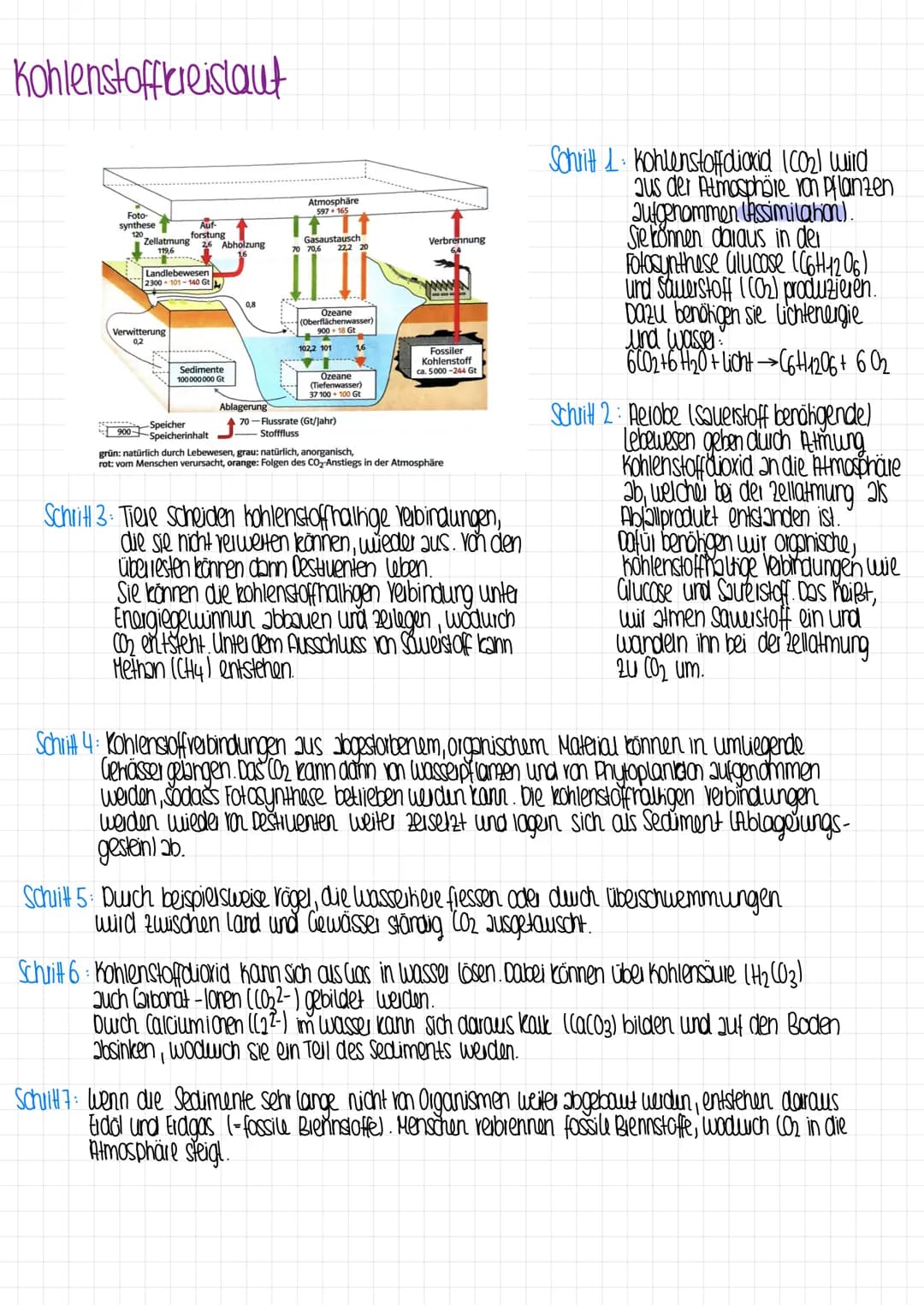 Kohlenstofflereislaut
Foto-
synthese
Auf-
forstung
Zellatmung
119,6
---
Verwitterung
0,2
26 Abholzung
Landlebewesen
2300-101-140 Gt
Sediment