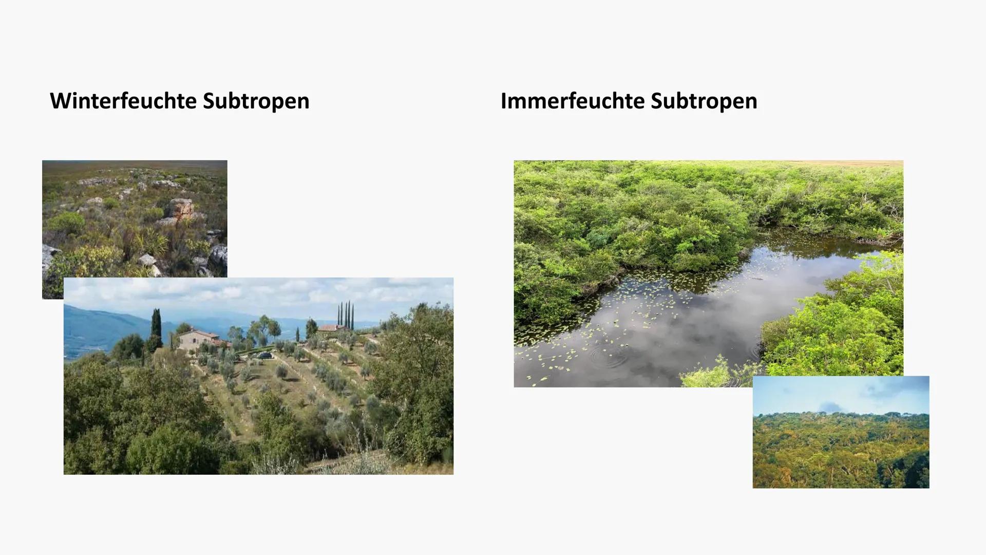 5.Vegetationszone
Hartlaubgehölze Inhaltverzeichnis:
Wichtige Informationen
• Klima in Spanien
●
Wasserverteilung Spaniens
• Gründe der Wass