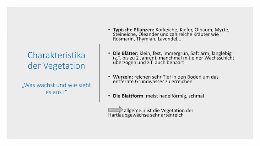 5.Vegetationszone
Hartlaubgehölze Inhaltverzeichnis:
Wichtige Informationen
• Klima in Spanien
●
Wasserverteilung Spaniens
• Gründe der Wass