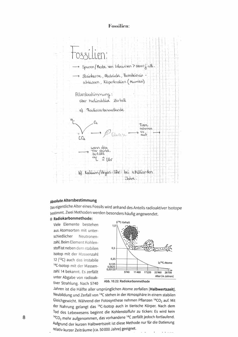 Voraussetzung für EVOLUTION = Variablilität
EVOLUTION
- Die Evolutionstheorie ist eine Erklärung für die Entstehung und Veränderung von
Arte