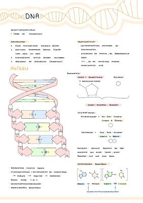 Know DNA & RNA thumbnail