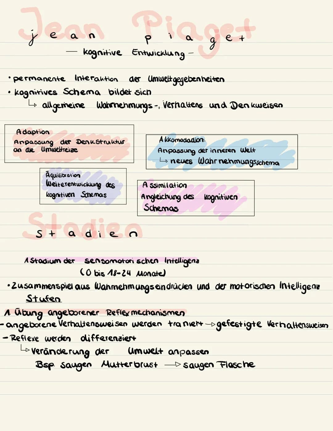 J
jean
●
kognitive Entwicklung
permanente Interaktion
• kognitives Schema bildet sich
L allgemeine Wahrnehmungs-,
Adaption
Anpassung der Den