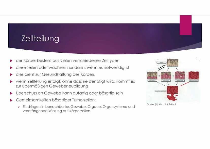 GFS-Krebs im Fach
Biologie
TERESA SCHNEIDER, KL. 7C
22.03.2018 Teresa Schneider, 7c
1.Definition Krebs
●
●
●
2.Krebs entsteht durch Krebsris