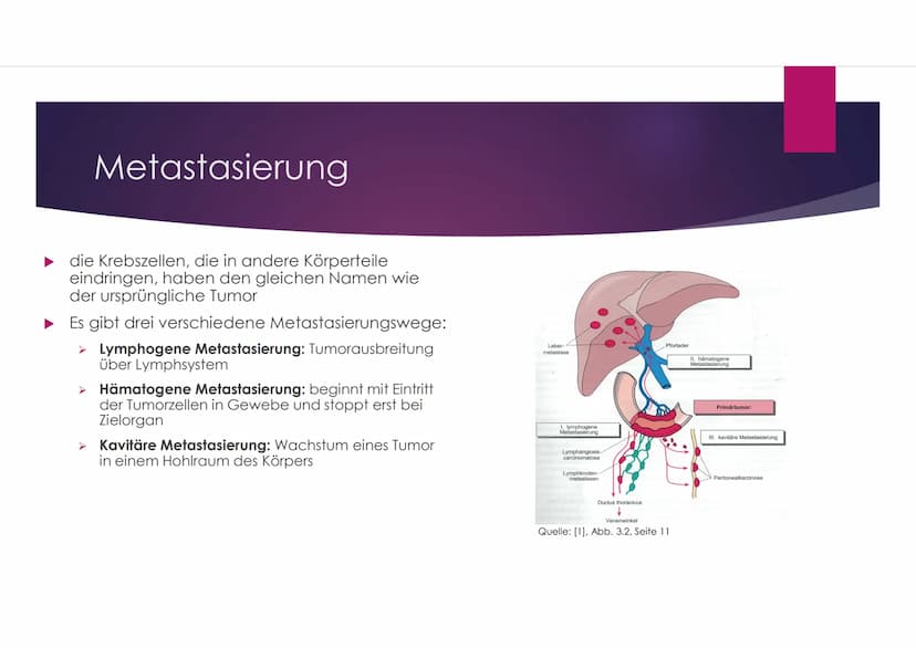 GFS-Krebs im Fach
Biologie
TERESA SCHNEIDER, KL. 7C
22.03.2018 Teresa Schneider, 7c
1.Definition Krebs
●
●
●
2.Krebs entsteht durch Krebsris
