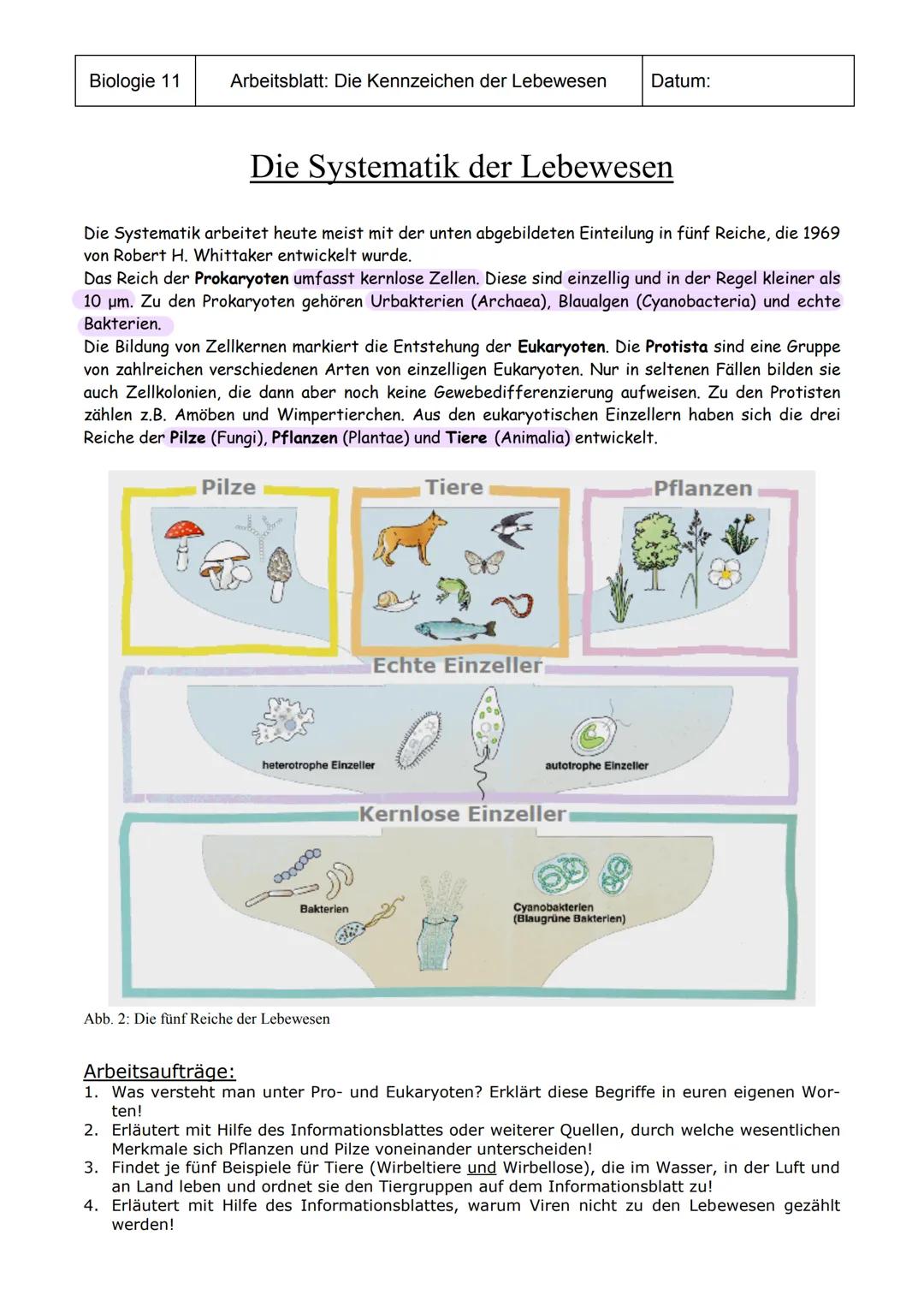 Biologie 11
Arbeitsblatt: Die Kennzeichen der Lebewesen
Die Systematik der Lebewesen
Die Systematik arbeitet heute meist mit der unten abgeb