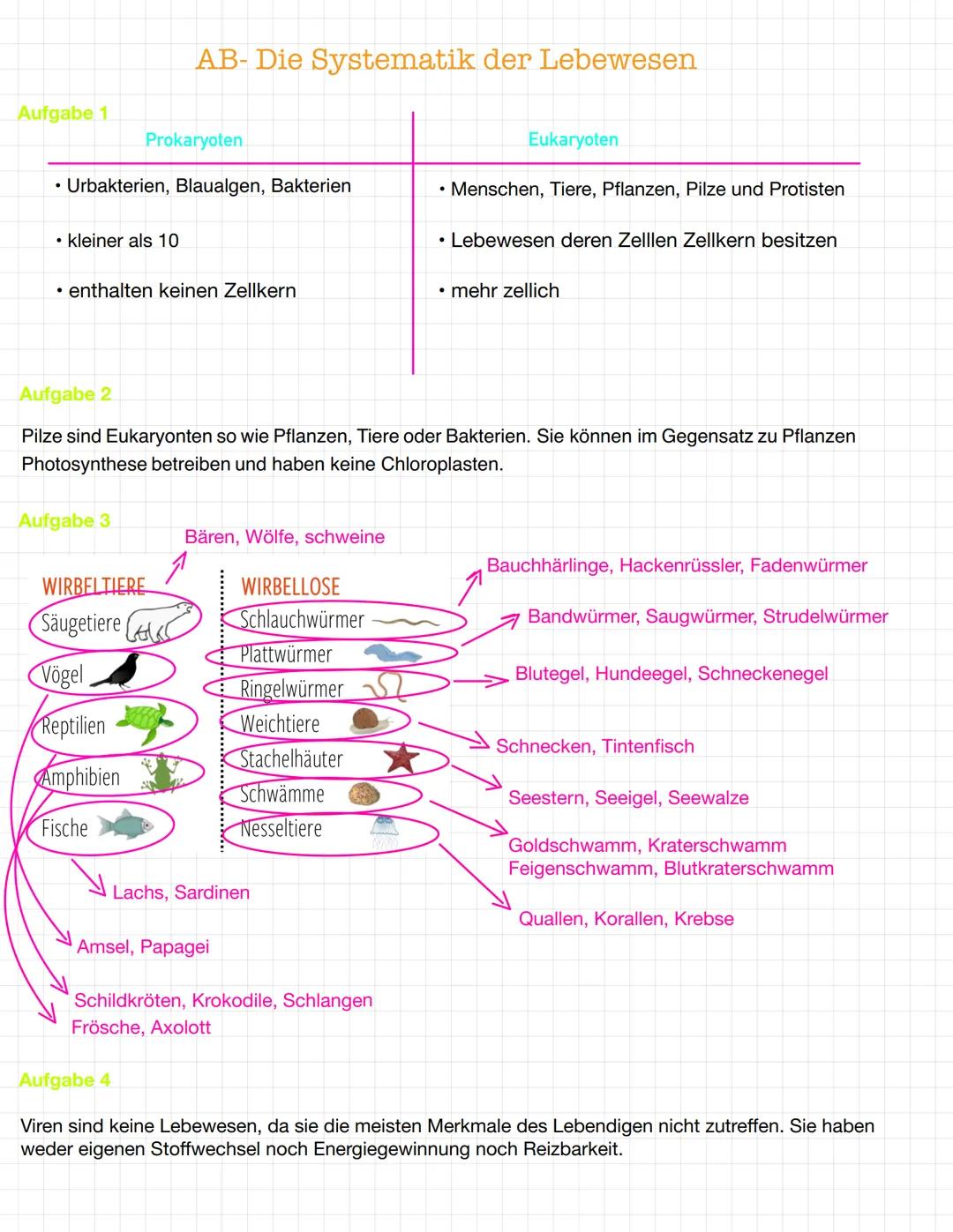 Biologie 11
Arbeitsblatt: Die Kennzeichen der Lebewesen
Die Systematik der Lebewesen
Die Systematik arbeitet heute meist mit der unten abgeb