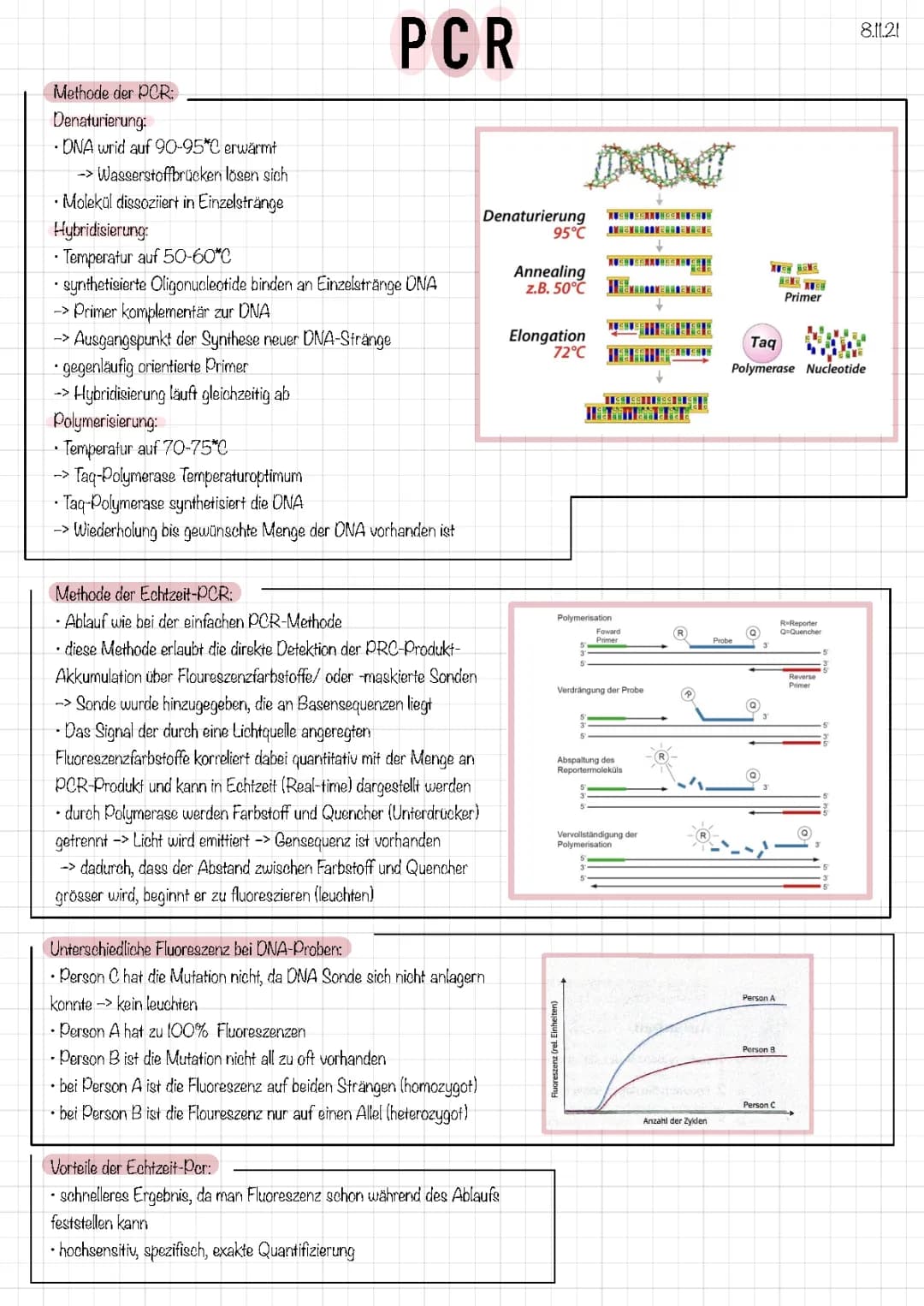 PCR