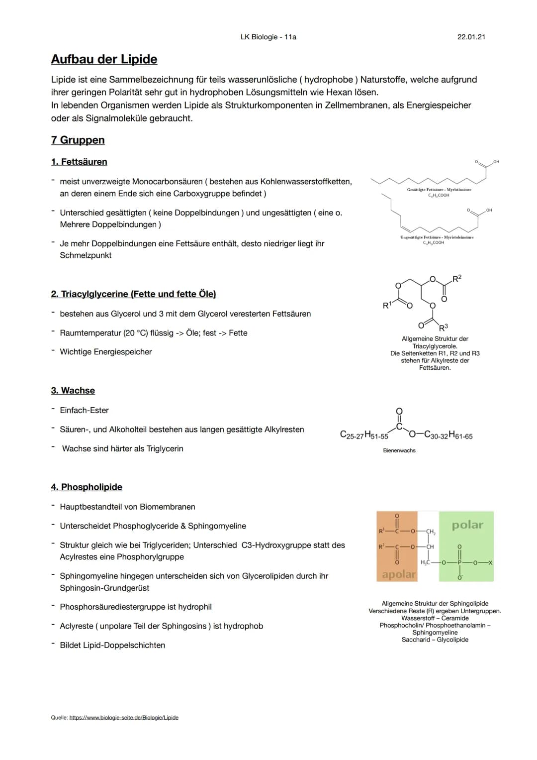 Aufbau der Lipide
Lipide ist eine Sammelbezeichnung für teils wasserunlösliche (hydrophobe) Naturstoffe, welche aufgrund
ihrer geringen Pola