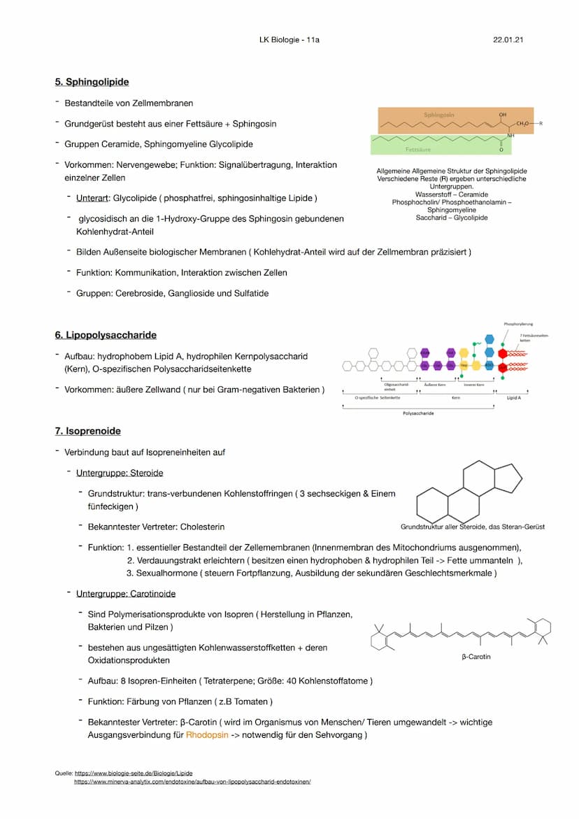 Aufbau der Lipide
Lipide ist eine Sammelbezeichnung für teils wasserunlösliche (hydrophobe) Naturstoffe, welche aufgrund
ihrer geringen Pola