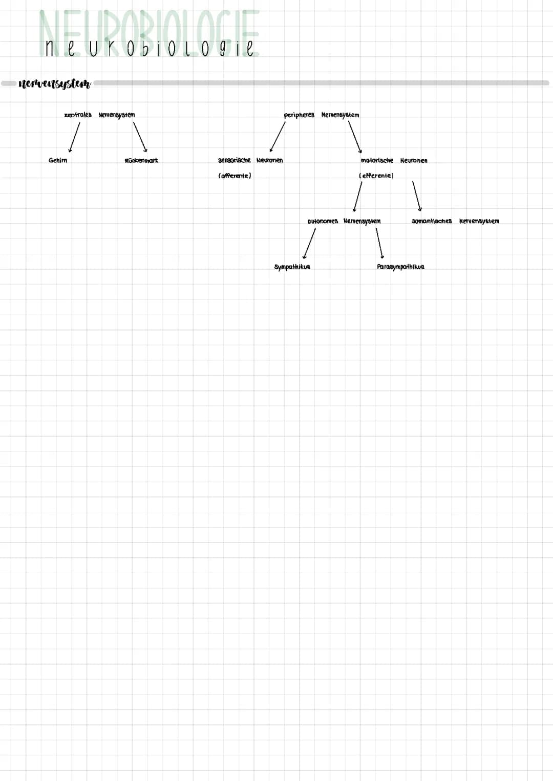 Neurobiologie 
