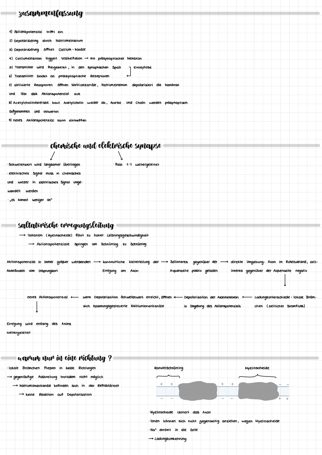 NEURORIOLOGIE
neurobiologie
nervensystem
zentrales Nervensystem
IT
Gehirn
Rückenmark
peripheres Nervensystem
motorische Neuronen
(efferente)