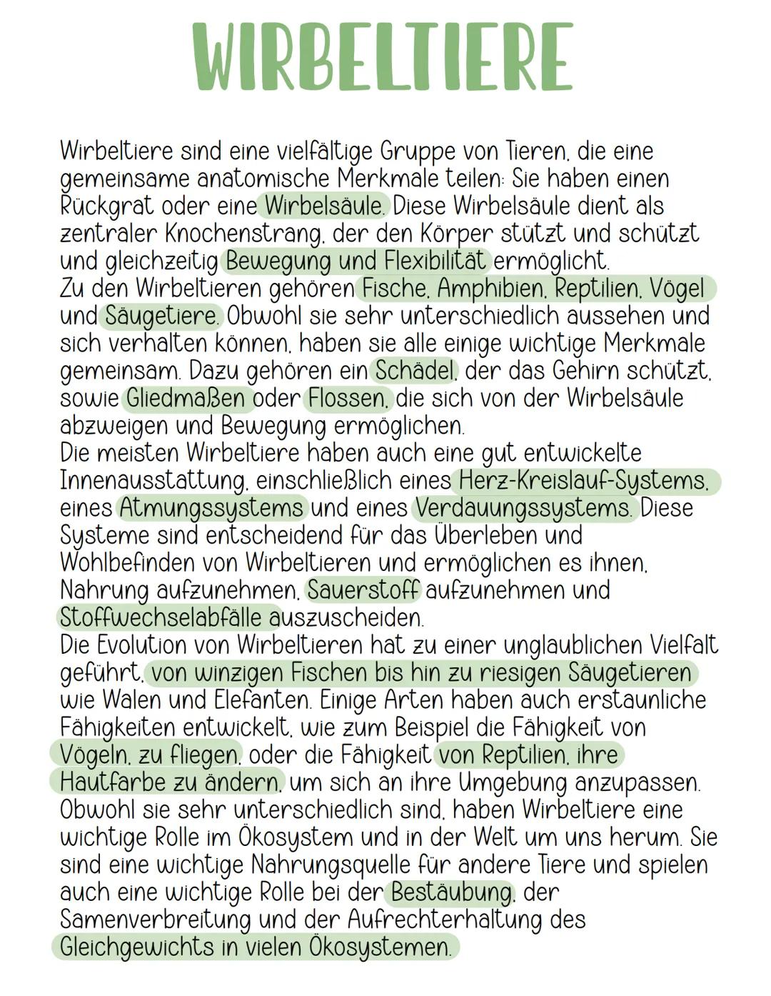 WIRBELTIERE
Wirbeltiere sind eine vielfältige Gruppe von Tieren, die eine
gemeinsame anatomische Merkmale teilen: Sie haben einen
Rückgrat o