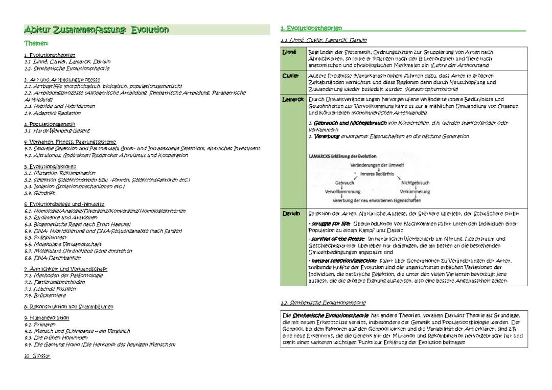 Alles zur Evolution: Synthetische Evolutionstheorie & Vergleich Schimpanse Mensch für dein Abi!