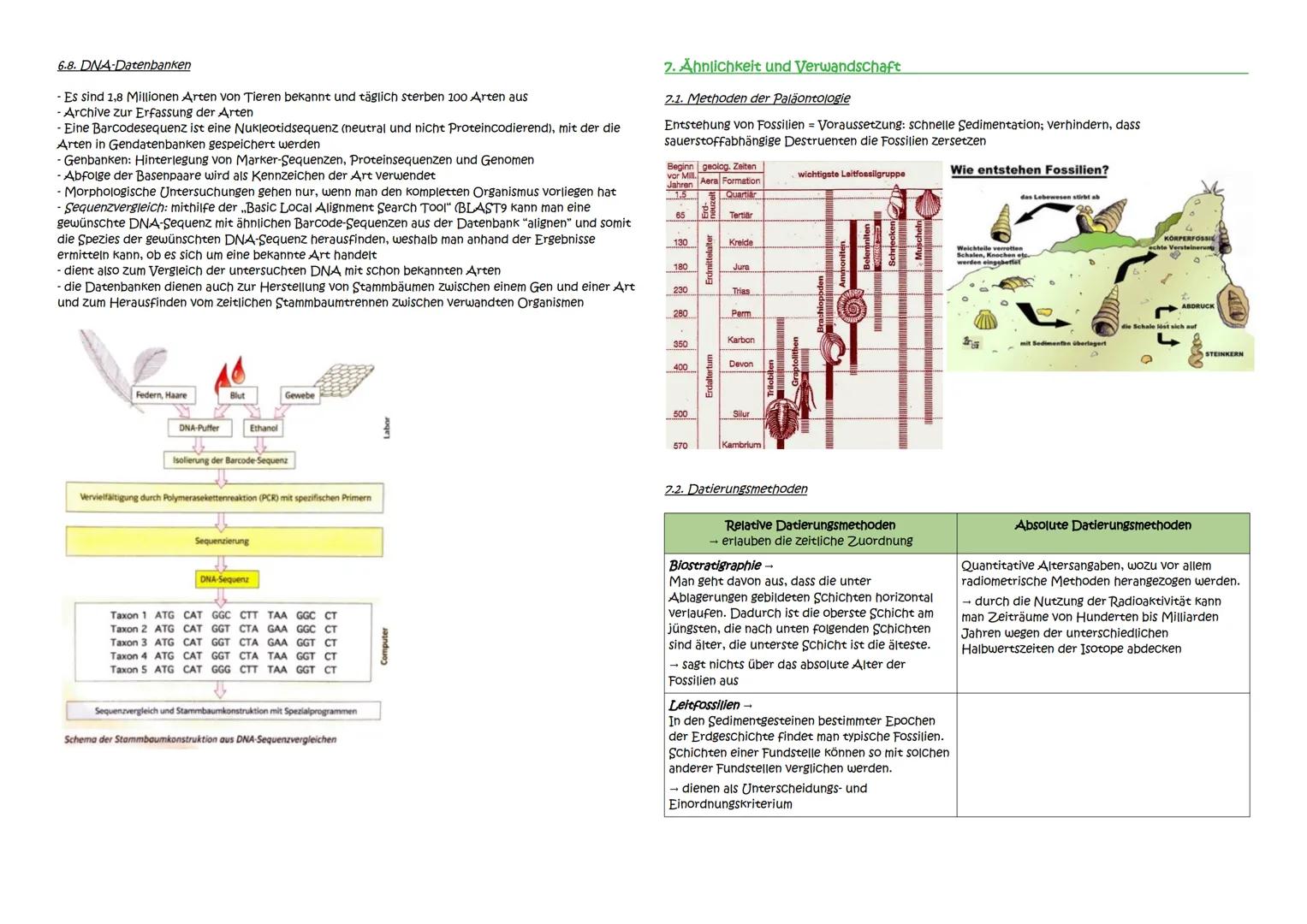 Abitur Zusammenfassung: Evolution
Themen:
1. Evolutionstheorien
1.1. Linné, Cuvier, Lamarck, Darwin
1.2. Synthetische Evolutionstheorie
2. A