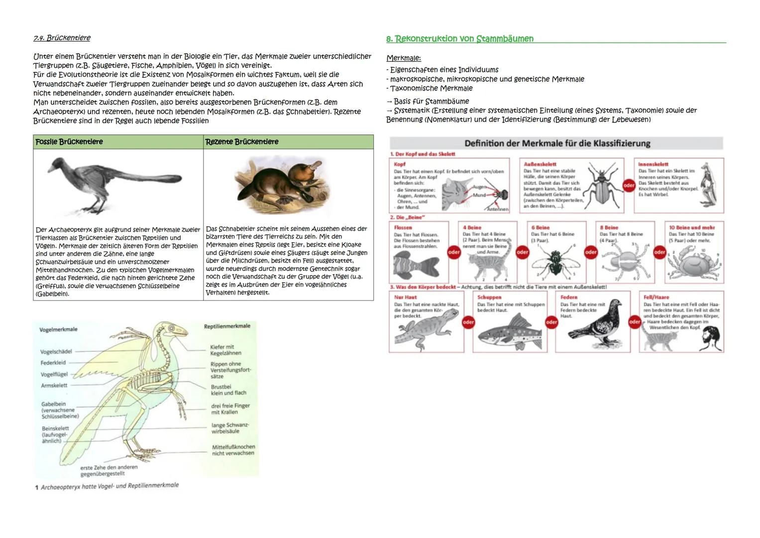 Abitur Zusammenfassung: Evolution
Themen:
1. Evolutionstheorien
1.1. Linné, Cuvier, Lamarck, Darwin
1.2. Synthetische Evolutionstheorie
2. A