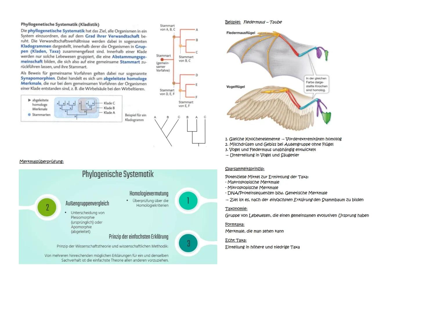 Abitur Zusammenfassung: Evolution
Themen:
1. Evolutionstheorien
1.1. Linné, Cuvier, Lamarck, Darwin
1.2. Synthetische Evolutionstheorie
2. A