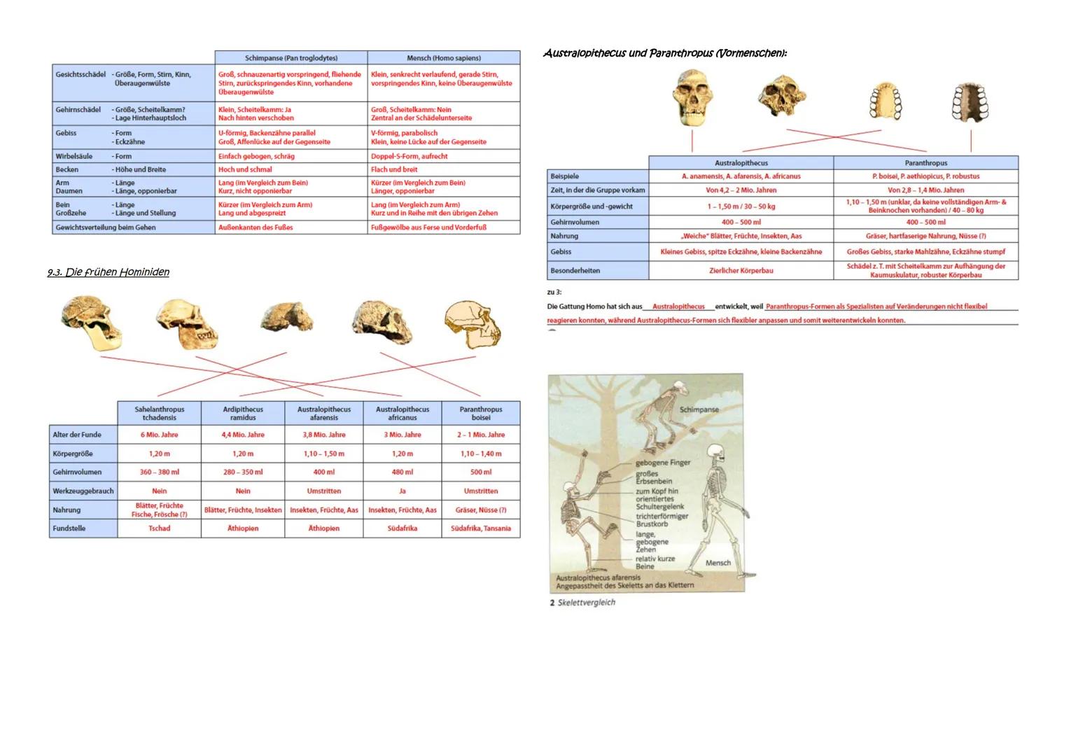 Abitur Zusammenfassung: Evolution
Themen:
1. Evolutionstheorien
1.1. Linné, Cuvier, Lamarck, Darwin
1.2. Synthetische Evolutionstheorie
2. A