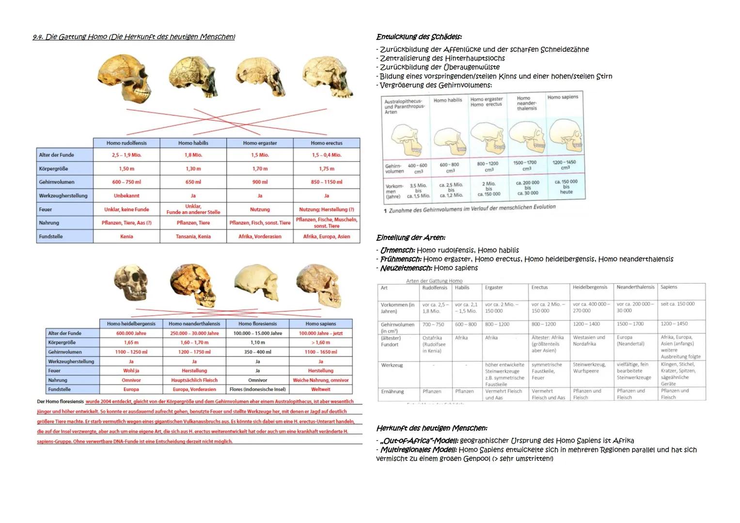 Abitur Zusammenfassung: Evolution
Themen:
1. Evolutionstheorien
1.1. Linné, Cuvier, Lamarck, Darwin
1.2. Synthetische Evolutionstheorie
2. A