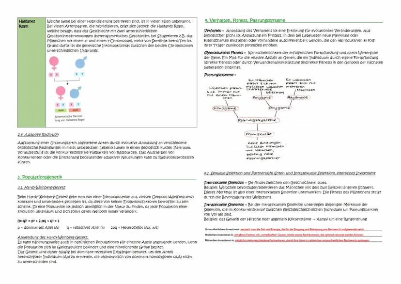 Abitur Zusammenfassung: Evolution
Themen:
1. Evolutionstheorien
1.1. Linné, Cuvier, Lamarck, Darwin
1.2. Synthetische Evolutionstheorie
2. A