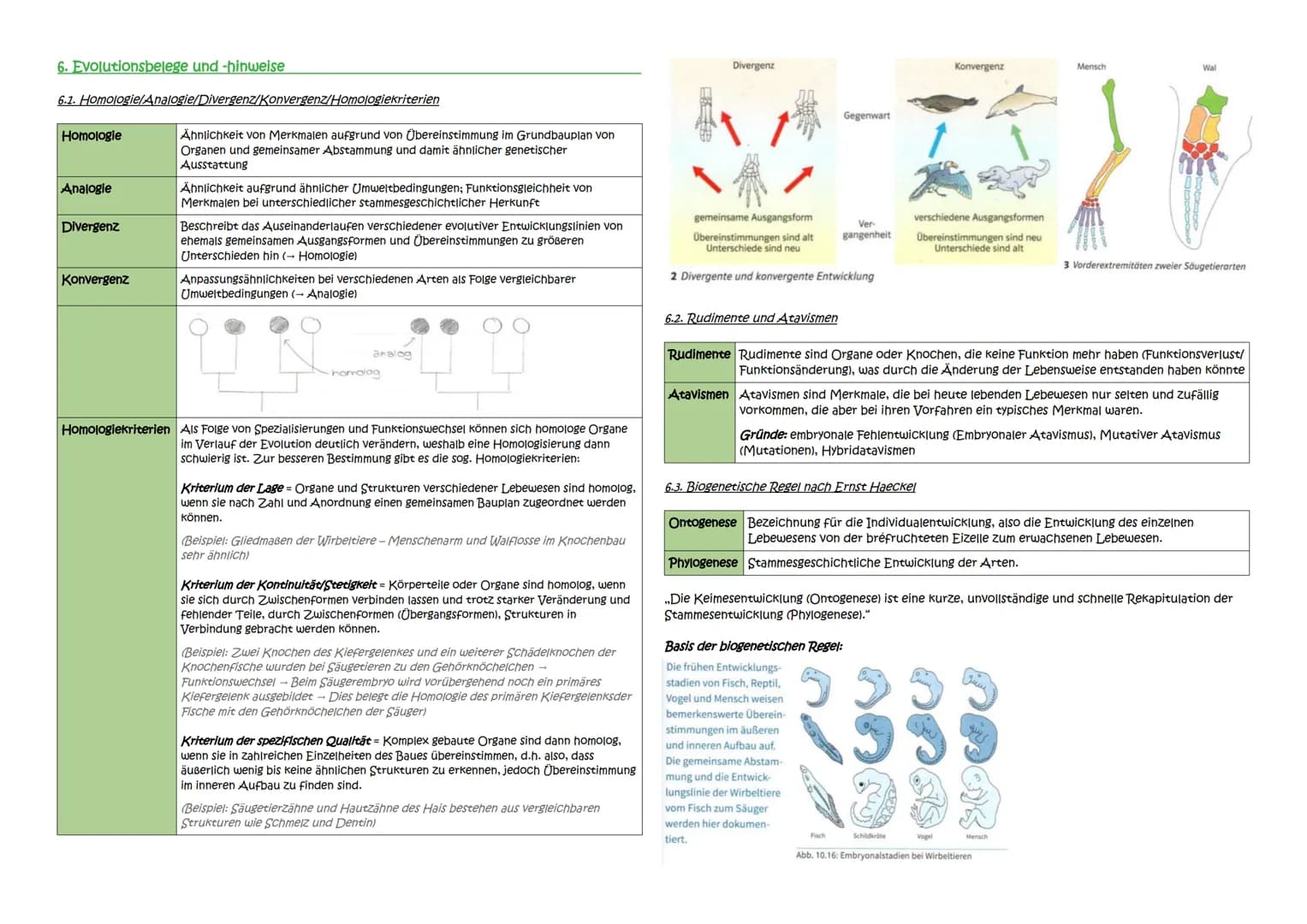 Abitur Zusammenfassung: Evolution
Themen:
1. Evolutionstheorien
1.1. Linné, Cuvier, Lamarck, Darwin
1.2. Synthetische Evolutionstheorie
2. A