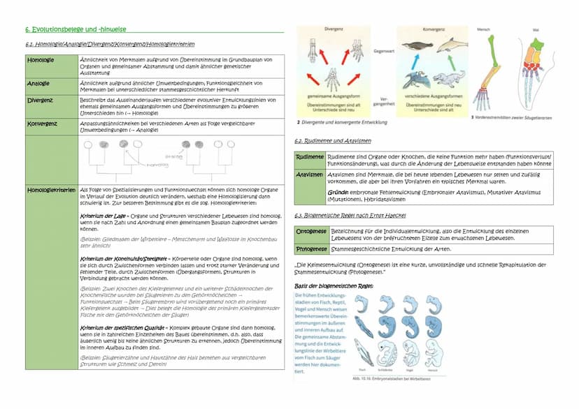 Abitur Zusammenfassung: Evolution
Themen:
1. Evolutionstheorien
1.1. Linné, Cuvier, Lamarck, Darwin
1.2. Synthetische Evolutionstheorie
2. A