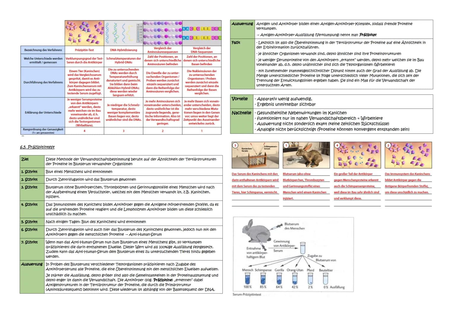 Abitur Zusammenfassung: Evolution
Themen:
1. Evolutionstheorien
1.1. Linné, Cuvier, Lamarck, Darwin
1.2. Synthetische Evolutionstheorie
2. A