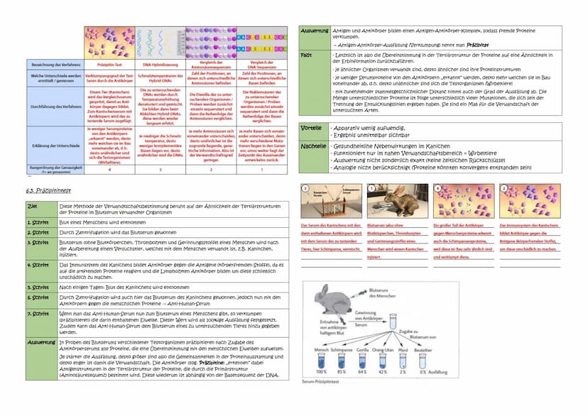 Abitur Zusammenfassung: Evolution
Themen:
1. Evolutionstheorien
1.1. Linné, Cuvier, Lamarck, Darwin
1.2. Synthetische Evolutionstheorie
2. A
